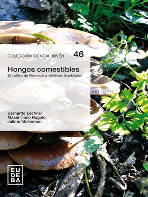 cover image of Hongos comestibles